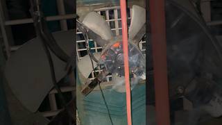 😱Coollar Motor Vs 220v Ac Electricity देने के बाद क्या होता है / #viral #experiment #science #short