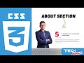 CSS Personal Portfolio About Section // Portfolio Website // Learn CSS in Nepali #40