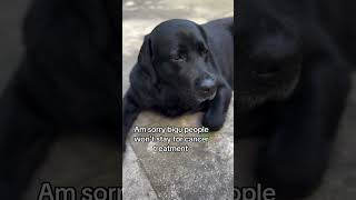 Please stay for my baby so l can afford his treatment