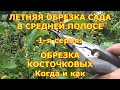 ЛЕТНЯЯ ОБРЕЗКА САДА. 1 я серия. ОБРЕЗКА КОСТОЧКОВЫХ на примере алычи. КОГДА, ПОЧЕМУ и КАК