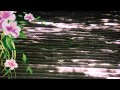 粋な別れ / 石原裕次郎  カバー