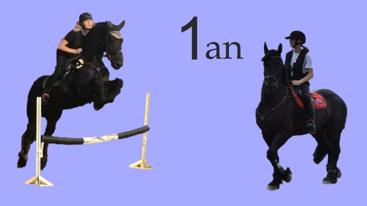 1 an avec mon frison