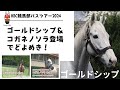 【競馬部ツアー2024①】お疲れ様でした　マイネルファンロン/ゴールドシップにコガネノソラ★ビッグレッドファーム編