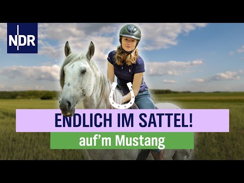 Die Mustangs lernen das 1x1 des Pferdehofs | Folge 7 | NDR auf'm Land