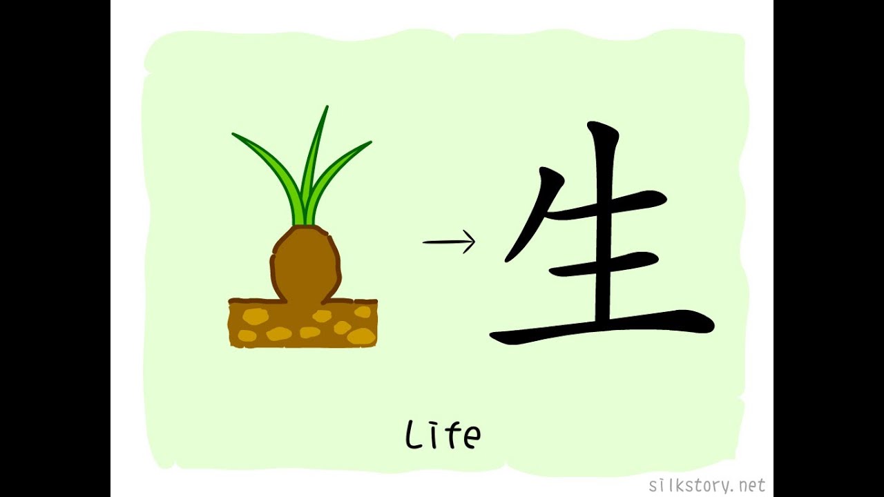 The Story of Chinese Character: 生 - YouTube