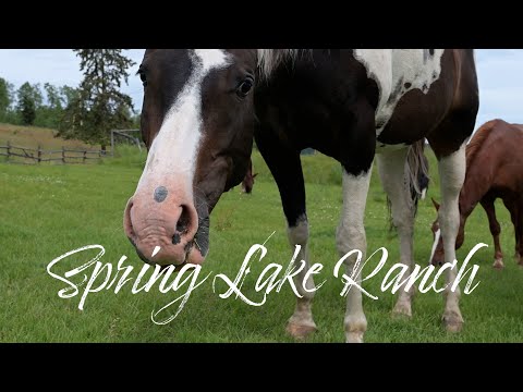 Spring Lake Ranch Real Estate Video in 100 Mile House BC