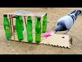 Birds Catching Trap using Plastic Bottles With Cardboard | @MsBirdTraps