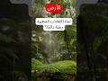 لماذا الغابات المطيرة رطبة دائم ا معلومات علمية عن الطقس والغابات حقائق مذهلة عن البيئة 