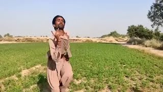 Pakistan Gayi | Kaaf Kangana | Neelam Muneer | Official HD Resimi