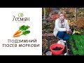 ПОСАДКА МОРКОВИ ОСЕНЬЮ! Основные правила для большого урожая  / 7 семян