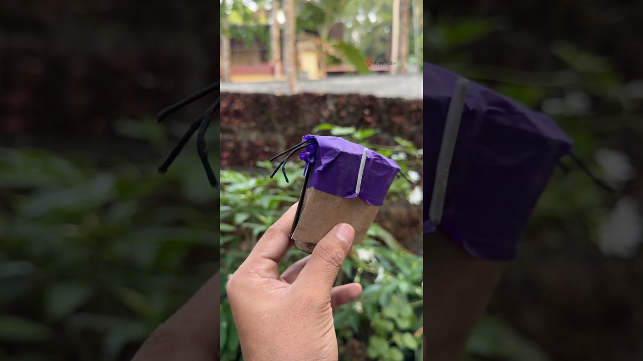 വണ്ട് 🐝🐝 || Rs : 75 || Royal Fireworks  Dum Dum  