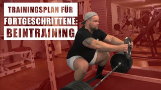 Trainingsplan für Fortgeschrittene: komplettes Beintraining und Spaß im Fitnessstudio