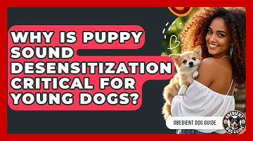 Why Is Puppy Sound Desensitization Critical For Young Dogs? - Obedient Dog Guide