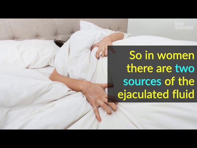 Busty Shemales Handjob Turn Me On Slut Tube Brazzers