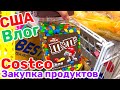 США Влог Большая закупка продуктов в COSTCO Большая семья в США Big big family in the USA VLOG