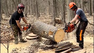 Chainsaw Drag Races Part 2 STIHL vs HUSQVARNA