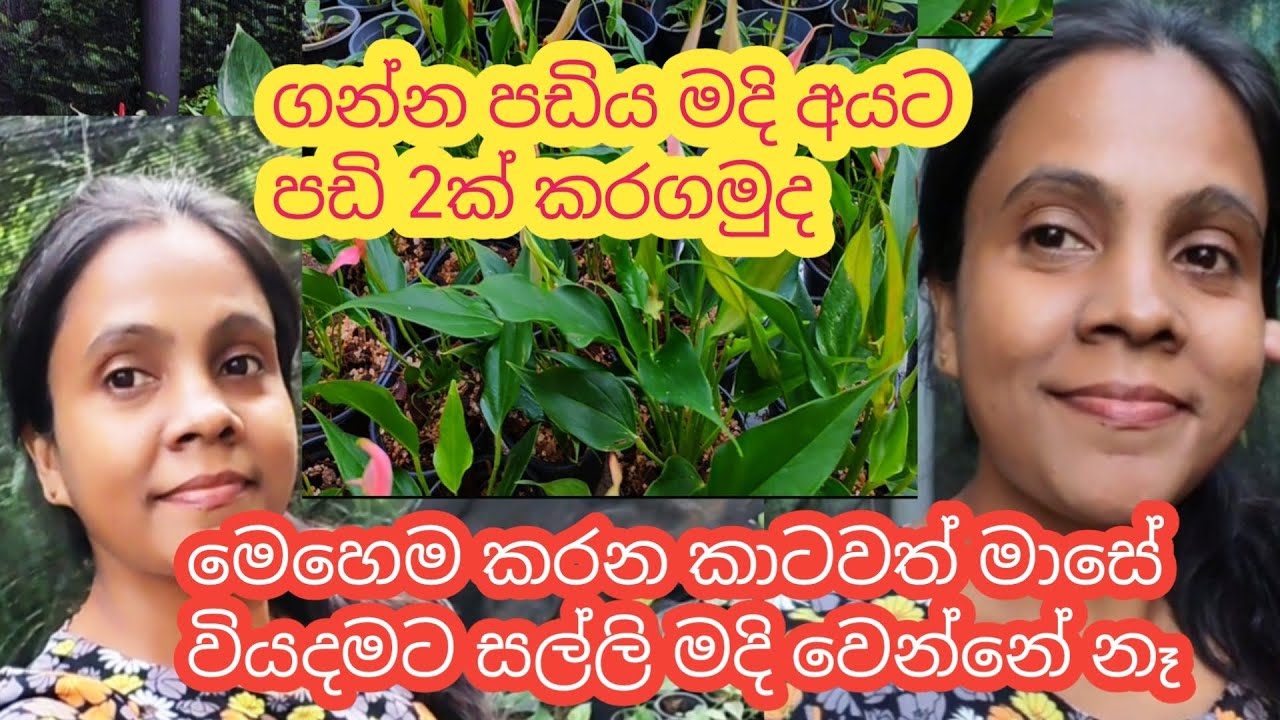 මුදල් ප්‍රශ්න නිසා ඔයත් ලොකු පීඩාවකින් නේද || ඒකට මගේ විසදුම
