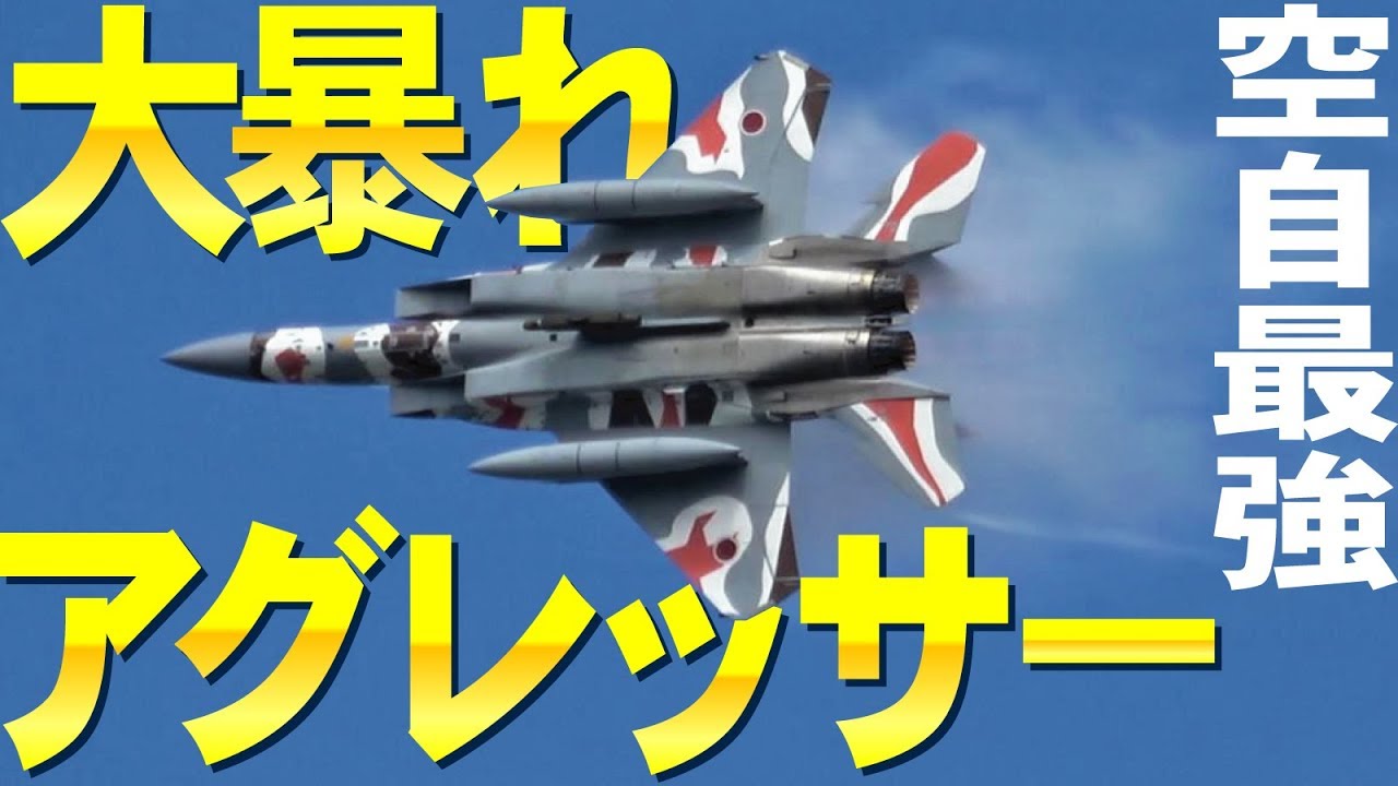 F-15イーグル・アメリカ空軍アグレッサー飛行隊(仮想敵機) - YouTube