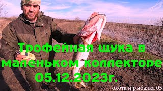 ТРОФЕЙНАЯ ЩУКА В МАЛЕНЬКОМ КОЛЛЕКТОРЕ 05.12.2023г.