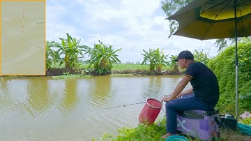 Câu Cá Ký Sự | Cách Pha Mồi Vuốt Khô Câu Cá Diếc Sông