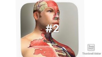 Idle Human Part 2: Maxing Out Stomach and Hand Bones