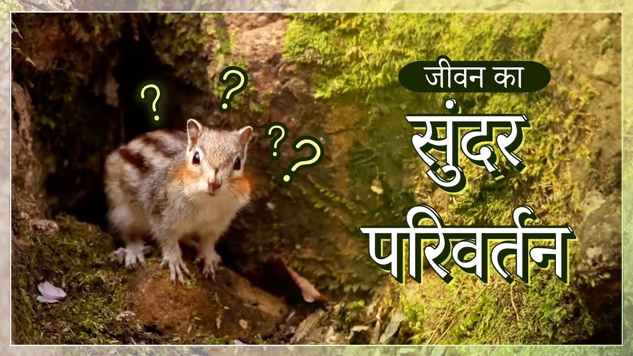 [FactPlus] जीवन का सुंदर परिवर्तन | चर्च ऑफ गॉड वर्ल्ड मिशन सोसाइटी