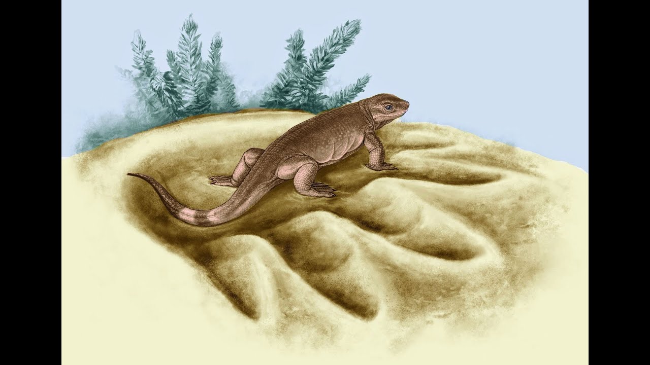 Prehistoric News : The Evolution of Herbivory