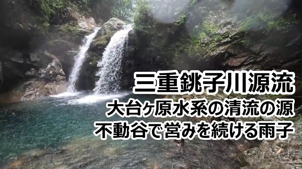 三重銚子川源流渓流釣り（清流のその先、不動谷の奥地には素直なアマゴ営みを続け、大台ケ原の懐の深さを感じたが、豪雨で1時間半歩いた行路を即撤退、大台ケ原の地質、発電所を好き勝手話出来て満足）