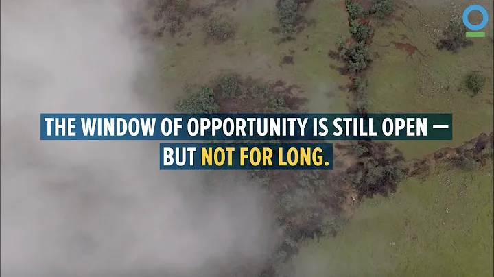 New Study Maps Irrecoverable Carbon Ecosystems