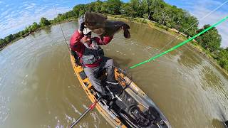 This Flathead Feeding Frenzy Got OUT OF CONTROL!