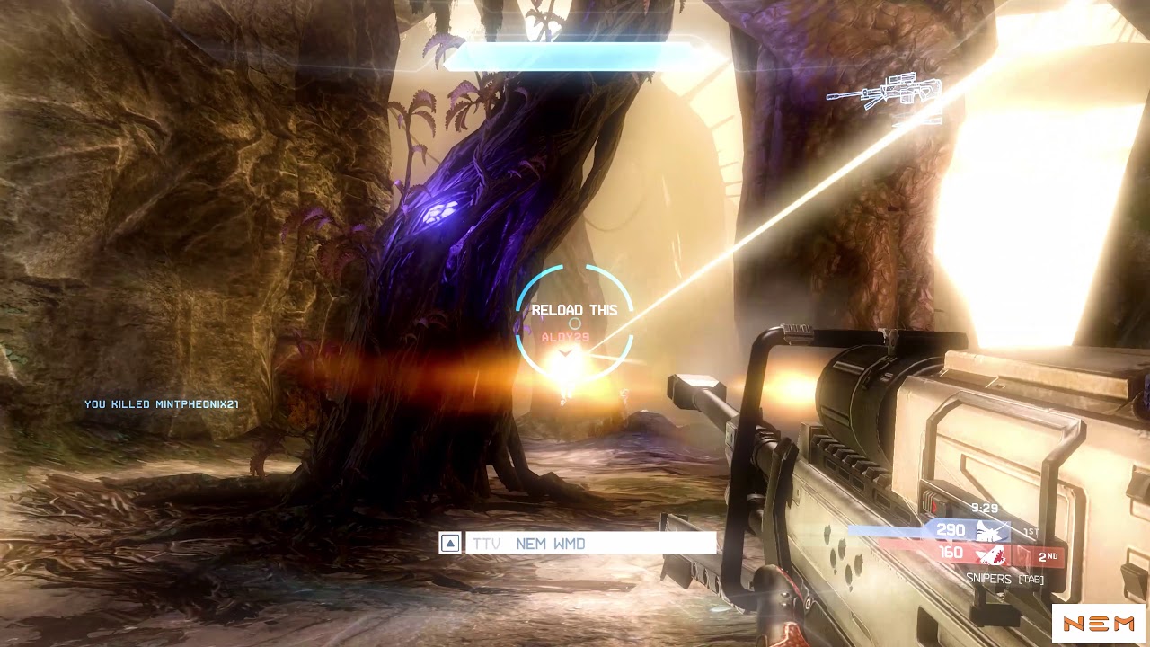 Resurrection Snapshot Montage