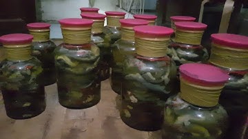 Cách ngâm rượu tắc kè chuẩn nhất tại trang trại Thanh Xuân