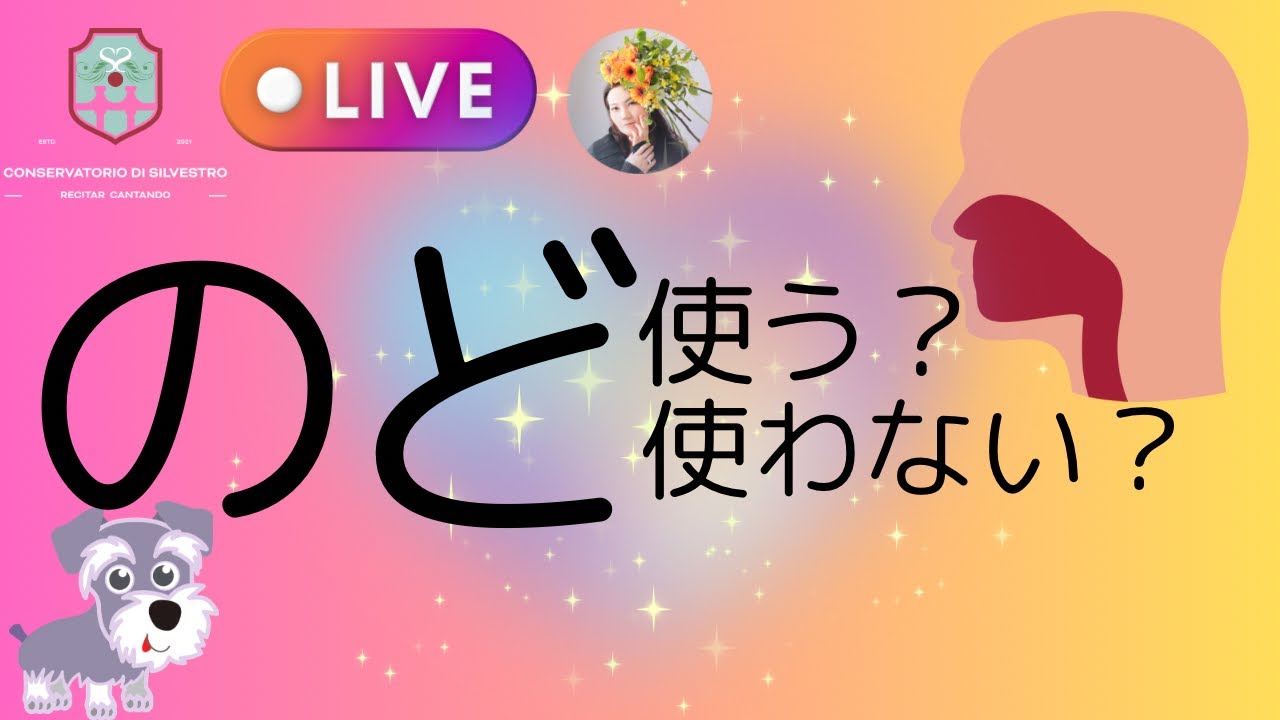 活動歴および当時の関連ビジュアル記録