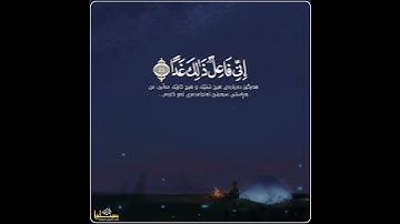 سعد الغامدي | حالات واتس اب دينية سورة الكهف 🥰💛