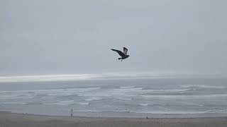 Surfside hotel at Rockaway Beach Oregon