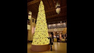 Fairmont Royal York annual TREE LIGHTING ceremony was tonight! #shorts #fairmont #fairmontroyalyork