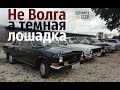 Не ВОЛГА а Темная ЛОШАДКА!  ГАЗ 2410