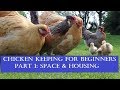 Chicken Keeping for Beginners, Part 1: Space and Housing