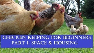 Chicken Keeping for Beginners, Part 1: Space and Housing