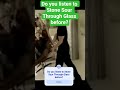 Do you listen to Stone Sour Through Glass before?
