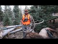 UTAH BULL ELK HUNT