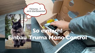 Truma MonoControl / DuoControl Einbau in den Camper  Das kann jeder!