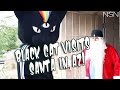 Black Cat finds Santa in Arizona!