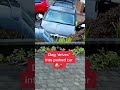🤣The dog makes me laugh so hard that I can't close my mouth  #funny #dog #videos #funnydogs #fyp