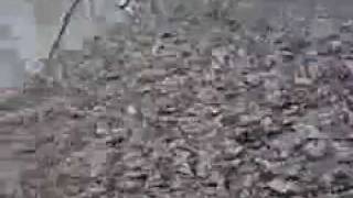 Shooting Concrete block with S&W 500