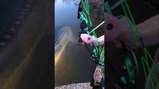 STURGEON RAKSASA🐟😲! Aksi Slingshot yang Mengejutkan