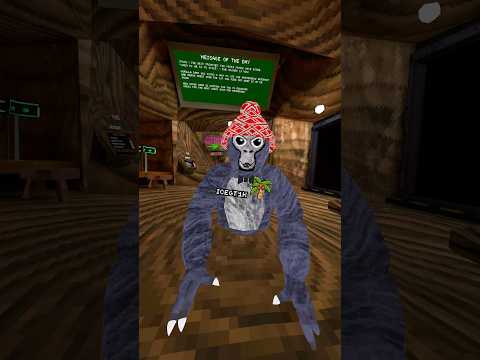Dustan Lucas will mike max #gorillatag #gorillatagquest #vr #viral #meme