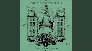 Vídeo de Tree That Grows In Paris