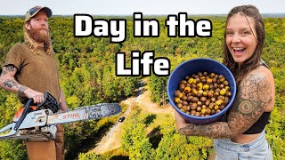 Foraging & Wood Processing | a REAL day in the life of an offgrid homestead