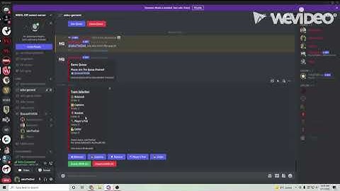 How to use the NeatQ scrim bot